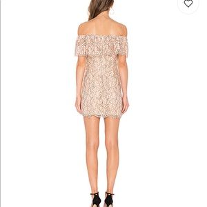 endless shoulder lace rose dress revolve